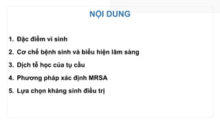 NỘI DUNG
1. Đặc điểm vi sinh
2. Cơ chế bệnh sinh và biểu hiện lâm sàng
3. Dịch tễ học của tụ cầu
4. Phương pháp xác định MRSA
5. Lựa chọn kháng sinh điều trị
 
