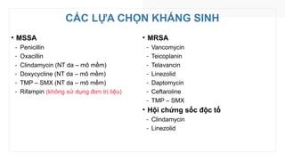 CÁC LỰA CHỌN KHÁNG SINH
• MSSA
‑ Penicillin
‑ Oxacillin
‑ Clindamycin (NT da – mô mềm)
‑ Doxycycline (NT da – mô mềm)
‑ TMP – SMX (NT da – mô mềm)
‑ Rifampin (không sử dụng đơn trị liệu)
• MRSA
‑ Vancomycin
‑ Teicoplanin
‑ Telavancin
‑ Linezolid
‑ Daptomycin
‑ Ceftaroline
‑ TMP – SMX
• Hội chứng sốc độc tố
‑ Clindamycin
‑ Linezolid
 