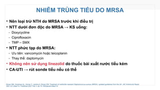 NHIỄM TRÙNG TIỂU DO MRSA
• Nên loại trừ NTH do MRSA trước khi điều trị
• NTT dưới đơn độc do MRSA → KS uống:
‑ Doxycycline
‑ Ciprofloxacin
‑ TMP – SMX
• NTT phức tạp do MRSA:
‑ Ưu tiên: vancomycin hoặc teicoplanin
‑ Thay thế: daptomycin
• Không nên sử dụng linezolid do thuốc bài xuất nước tiểu kém
• CA-UTI → rút sonde tiểu nếu có thể
Brown NM, Goodman AL, Horner C, Jenkins A, Brown EM. Treatment of methicillin-resistant Staphylococcus aureus (MRSA): updated guidelines from the UK. JAC Antimicrob Resist.
2021;3(1):dlaa114. Published 2021 Feb 3. doi:10.1093/jacamr/dlaa114
 