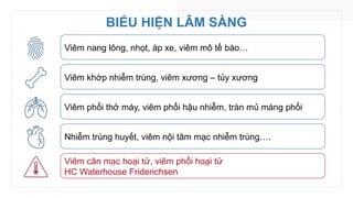 BIỂU HIỆN LÂM SÀNG
Viêm nang lông, nhọt, áp xe, viêm mô tế bào…
Viêm khớp nhiễm trùng, viêm xương – tủy xương
Viêm phổi thở máy, viêm phổi hậu nhiễm, tràn mủ màng phổi
Nhiễm trùng huyết, viêm nội tâm mạc nhiễm trùng….
Viêm cân mạc hoại tử, viêm phổi hoại tử
HC Waterhouse Friderichsen
 