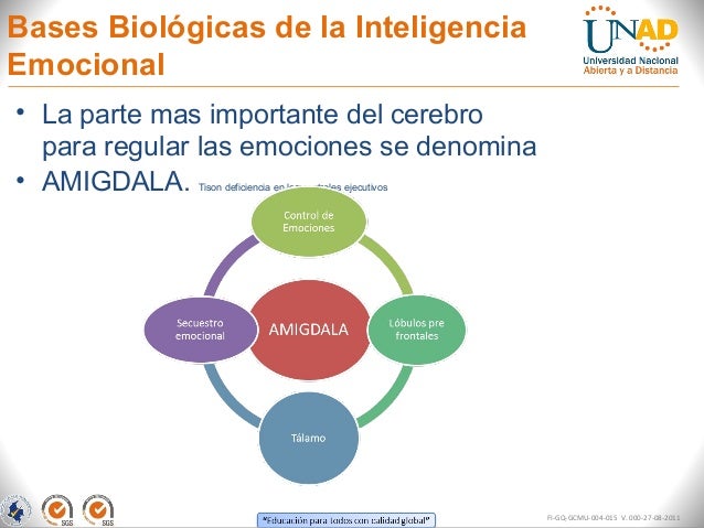 Inteligencia Emocional