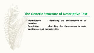 Story board descriptive text | PPTX