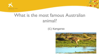 What is the most famous Australian animal? (A)  Reindeer (B)  Crocodile (C)  Kangaroo 