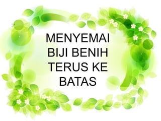 MENYEMAI 
BIJI BENIH 
TERUS KE 
BATAS 
 