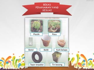 BEKAS 
PENANAMAN YANG 
SESUAI 
Plastik 
Botol Baldi Kulit kelapa 
Tayar terpakai 
Pasu 
Tin kosong 
 