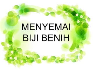 MENYEMAI 
BIJI BENIH 
 