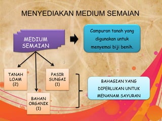 MENYEDIAKAN MEDIUM SEMAIAN 
MEDIUM 
SEMAIAN 
Campuran tanah yang 
digunakan untuk 
menyemai biji benih. 
TANAH 
LOAM 
(2) 
BAHAN 
ORGANIK 
(1) 
PASIR 
SUNGAI 
(1) 
BAHAGIAN YANG 
DIPERLUKAN UNTUK 
MENANAM SAYURAN 
 