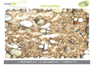 Interactive Floor Display Templates | PDF