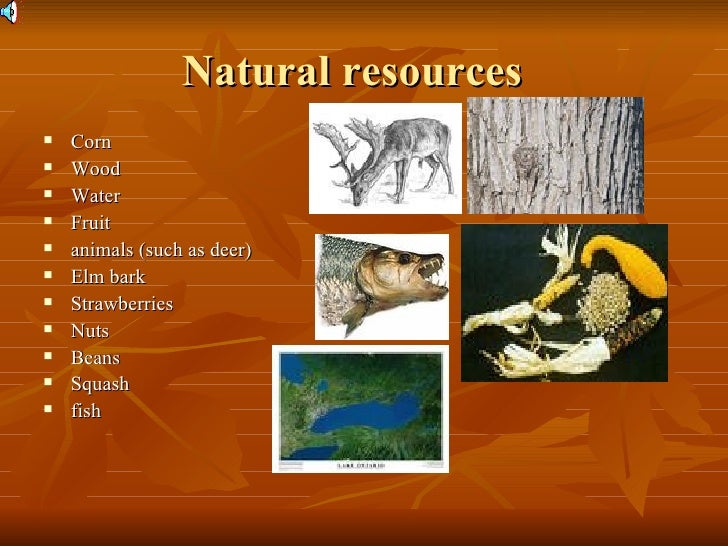 New York Natural Resources Water New York Natural Resources Water