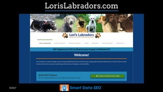 ©2017
LorisLabradors.com
 