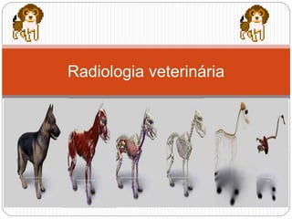 Radiologia veterinária
 