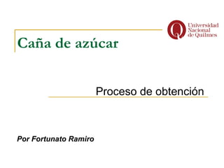 Caña de azúcar Proceso de obtención Por Fortunato Ramiro 