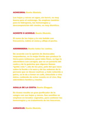 ACHICORIA: Dueño Obatalá.
Las hojas y raíces en agua, sin hervir, es muy
buena para el estómago. Se emplean también
para la hidropesía, las hemorragias y
descomposición del vientre, es muy diurético.
ACHIOTE O ACHIOLE: Dueño Obatalá.
El zumo de las hojas y la raíz bebido con
frecuencia, calma el asma y afloja el pecho.
ADORMIDERA: Dueño todos los santos.
De acuerdo con la opinión de destacados
mayomberos, es la mejor hierba que produce la
tierra para embaucar, para tales fines, se liga la
adormidera con caraguá, que es un parásito del
cedro y de la guásima que algunos llaman
“guida–vela “, uña de los pies, pelo del que nace
sobre la frente o la nuca y de los sobacos de la
persona que se desea cautivar, y todo reducido a
polvo, se le da a tomar en café, chocolate o vino
dulce, cuidando de echar canela en el vino. Hay
adormidera hembra y macho.
AGALLA DE LA COSTA: Dueño Elegguá.
En tisana resulta un gran purificador de la
sangre con sus hojas y raíces. Sus semillas se
emplean en lavados vaginales, para contener las
hemorragias y en tratamiento de las leucorrea.
AGRACEJO: Dueño Obatalá.
 