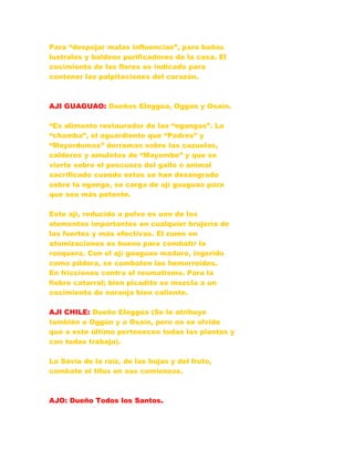 Para “despojar malas influencias”, para baños
lustrales y baldeos purificadores de la casa. El
cocimiento de las flores es indicado para
contener las palpitaciones del corazón.
AJI GUAGUAO: Dueños Eleggúa, Oggún y Osaín.
“Es alimento restaurador de las “ngangas”. La
“chamba”, el aguardiente que “Padres” y
“Mayordomos” derraman sobre las cazuelas,
calderos y amuletos de “Mayombe” y que se
vierte sobre el pescuezo del gallo o animal
sacrificado cuando estos se han desangrado
sobre la nganga, se carga de ají guaguao para
que sea más potente.
Este ají, reducido a polvo es uno de los
elementos importantes en cualquier brujería de
las fuertes y más efectivas. El zumo en
atomizaciones es bueno para combatir la
ronquera. Con el ají guaguao maduro, ingerido
como píldora, se combaten las hemorroides.
En fricciones contra el reumatismo. Para la
fiebre catarral; bien picadito se mezcla a un
cocimiento de naranja bien caliente.
AJI CHILE: Dueño Eleggúa (Se le atribuye
también a Oggún y a Osaín, pero no se olvide
que a este último pertenecen todas las plantas y
con todas trabaja).
La Savia de la raíz, de las hojas y del fruto,
combate el tifus en sus comienzos.
AJO: Dueño Todos los Santos.
 