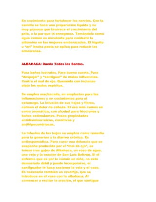En cocimiento para fortalecer los nervios. Con la
semilla se hace una preparación líquida y no
muy grasosa que favorece el crecimiento del
pelo, a la par que lo ennegrece. Tomándolo como
agua común es excelente para combatir la
albúmina en las mujeres embarazadas. El higuito
u “orí” hecho pasta se aplica para reducir las
almorranas.
ALBAHACA: Dueño Todos los Santos.
Para baños lustrales. Para buena suerte. Para
“despojar” y “santiguar” de malas influencias.
Contra el mal de ojo. Quemada con incienso
aleja los malos espíritus.
Se emplea machacada, en emplastos para las
inflamaciones y en cocimientos para el
estómago. La infusión de sus hojas y flores,
calman el dolor de cabeza. El uso más común es
como aromática, con alcohol para fricciones y
baños estimulantes. Posee propiedades
antidisminorreicas, carnitivas y
antihipocondríacas.
La infusión de las hojas se emplea como remedio
para la gonorrea y la diarrea crónica. Es
antiespamódica. Para curar una dolencia que se
sospecha producida por el “mal de ojo”, se
toman tres gajos de Albahaca, un vaso de agua,
una vela y la oración de San Luís Beltrán. Si el
enfermo que es por lo común un niño, no está
demasiado débil y puede incorporarse, el
santiguador le hace sostener la vela y el vaso.
Es necesario también un crucifijo, que se
introduce en el vaso con la albahaca. Al
comenzar a recitar la oración, el que santigua
 