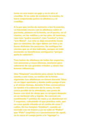 toma en una mano un gajo y en la otra el
crucifijo. Si no sabe de memoria la oración, la
leerá empuñando juntos la albahaca y el
crucifijo.
A la par que recita de memoria o lee la oración,
va haciendo cruces con la albahaca sobre el
paciente, primero en la frente, en el pecho, en el
vientre, en las rodillas y en los pies. Al terminar,
reza tres “padre nuestro”, tres “credos” y tres
“ave María” . La vela se deja encendida hasta
que se consuma. En rigor deben ser tres y en
horas distintas las personas. Se santigua los
viernes que es el día indicado, aunque en todo
momento es beneficioso santiguarse “porque
quita la salación”.
Tres baños de albahaca de todas las especies,
con azucenas y rosas blancas, bastaran para
saturarse de sus grandes virtudes y atraer las
buenas influencias.
Una “limpieza” excelente para atraer la buena
suerte a una casa, se realiza de la forma
siguiente: Las albahacas se tienen durante 7días
en un lugar apartado y donde nadie ponga el pie
y al mismo tiempo, durante 5 días consecutivos
se tendrá a la cabecera de la cama, lo más
cerca posible de la almohada, una yema de
huevo con miel de abeja que se arrojará después
en un herbazal alto y tupido. Se cocinan sin
condimento 7 pelotas de maíz y se abandonan en
7 esquinas, calculando el que practica este, que
su casa quede situada en el centro de esas 7
calles. En los templos “kimbisa”, cuando un
iniciado cae en trance y ya se sabe el “Padre”
que “Palo” (espíritu) va a posesionarse de aquél,
se le rocía el cuerpo junto a la “nganga” o
 