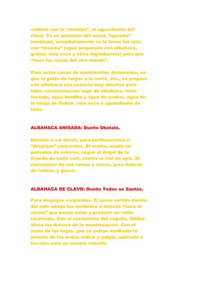 caldero con la “chamba”, el aguardiente del
ritual. Ya en posesión del nuevo “ngombe”
(médium), inmediatamente se le lavan los ojos
con “mamba” (agua preparada con albahaca,
grama, vino seco y otros ingredientes) para que
“vean las cosas del otro mundo”.
Para estos casos de matrimonios demorados, en
que el galán da largas a la novia, etc., se prepara
con albahaca una esencia muy efectiva para
tales circunstancias: jugo de albahaca, heno
tostado, agua bendita y agua de azahar, agua de
la tinaja de Oshún, vino seco o aguardiente de
Islas.
ALBAHACA ANISADA: Dueño Obatalá.
Hervida o sin hervir, para purificaciones o
“despojos” corporales. El aroma, usado en
pañuelos de colores, según el Angel de la
Guarda de cada cual, contra el mal de ojos. El
cocimiento de sus ramas y raíces, para dolores
de cólicos y gases.
ALBAHACA DE CLAVO: Dueño Todos os Santos.
Para despojos corporales. El zumo vertido dentro
del oído apaga los zumbidos o dolores “saca el
viento” que puede estar y producir un ruido
incómodo. Con el cocimiento del cogollo, Oddúa
alivia los dolores de la menstruación. Con el
zumo de las hojas, que se extrae mediante la
presión de los dedos índice y pulgar, aplicado a
los ojos cura un orzuelo rebelde.
 