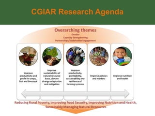 CGIAR Research Agenda
 