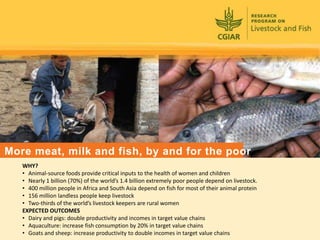 CGIAR and IFAD: Sharing and Scaling up Innovations?