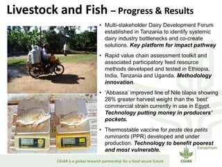 CGIAR and IFAD: Sharing and Scaling up Innovations?