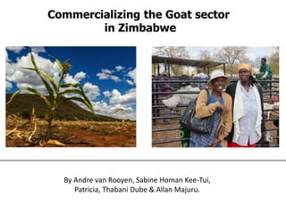 By Andre van Rooyen, Sabine Homan Kee-Tui,
Patricia, Thabani Dube & Allan Majuru.
Commercializing the Goat sector
in Zimbabwe
 