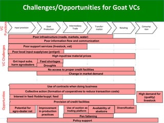 Goat Production and Marketing in Zimbabwe