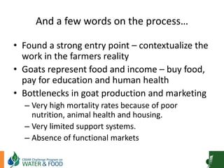 Goat Production and Marketing in Zimbabwe