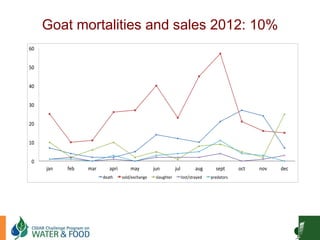 Goat Production and Marketing in Zimbabwe