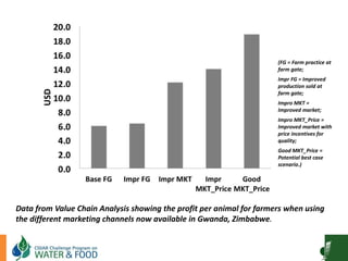 Goat Production and Marketing in Zimbabwe