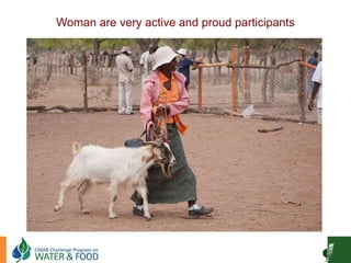 Goat Production and Marketing in Zimbabwe
