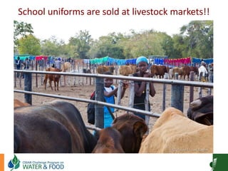 Goat Production and Marketing in Zimbabwe