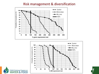 Goat Production and Marketing in Zimbabwe