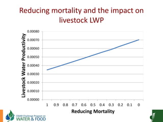 Goat Production and Marketing in Zimbabwe