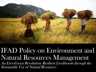 IFAD Policy on Environment and Natural Resources Management An Ever-Green Revolution: Resilient Livelihoods through the Sustainable Use of Natural Resources 