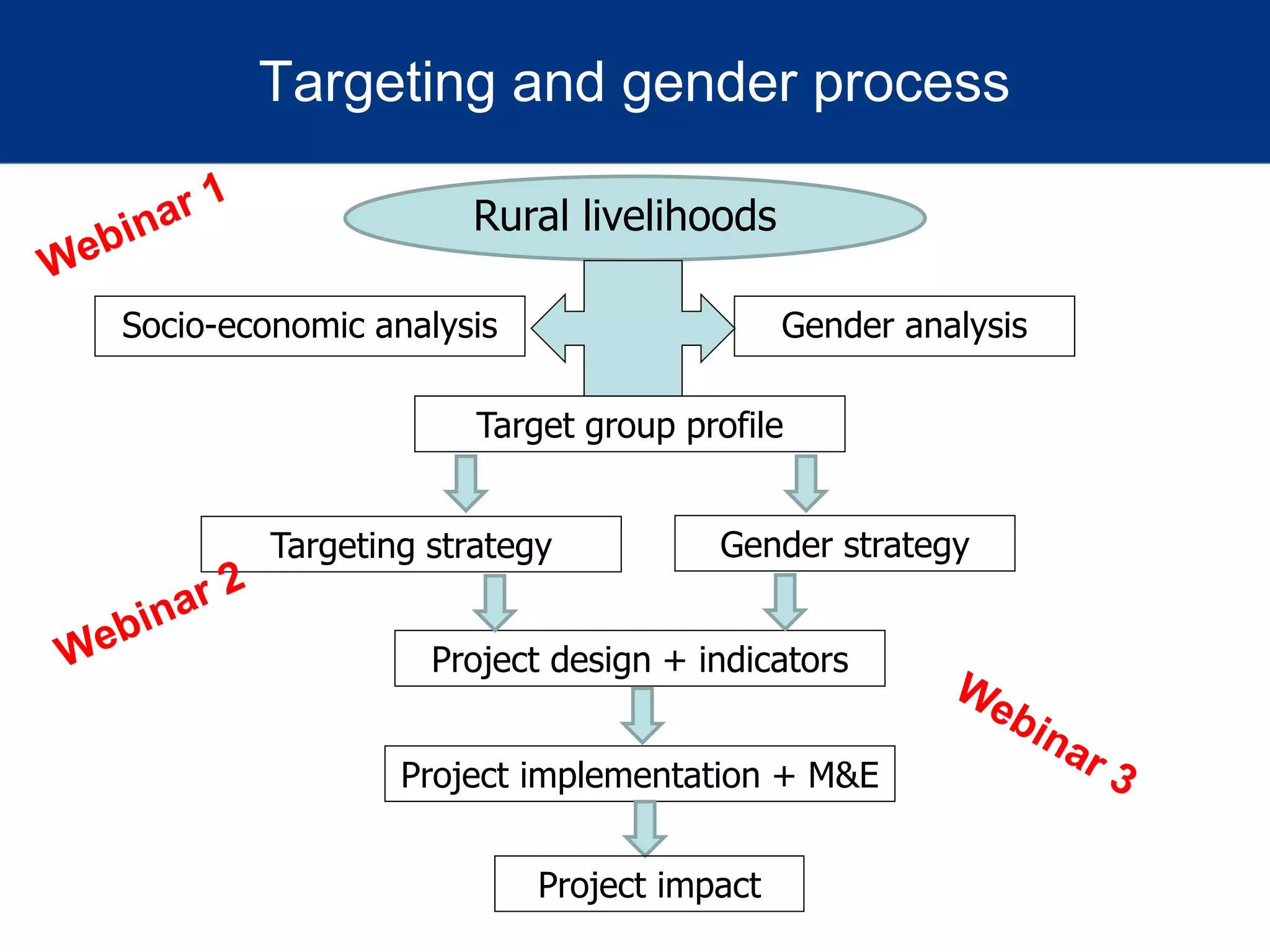 Targeting and gender process
Rural livelihoods
Project design + indicators
Gender strategyTargeting strategy
Project implementation + M&E
Project impact
Gender analysisSocio-economic analysis
Target group profile
 