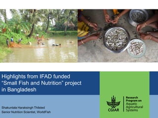 Highlights from IFAD funded
“Small Fish and Nutrition” project
in Bangladesh
Shakuntala Haraksingh Thilsted
Senior Nutrition Scientist, WorldFish
 