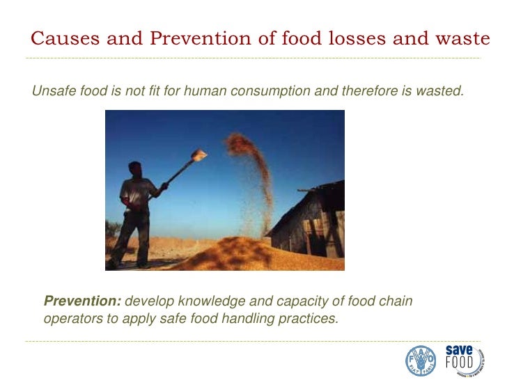 Global initiative on food loss and waste reduction