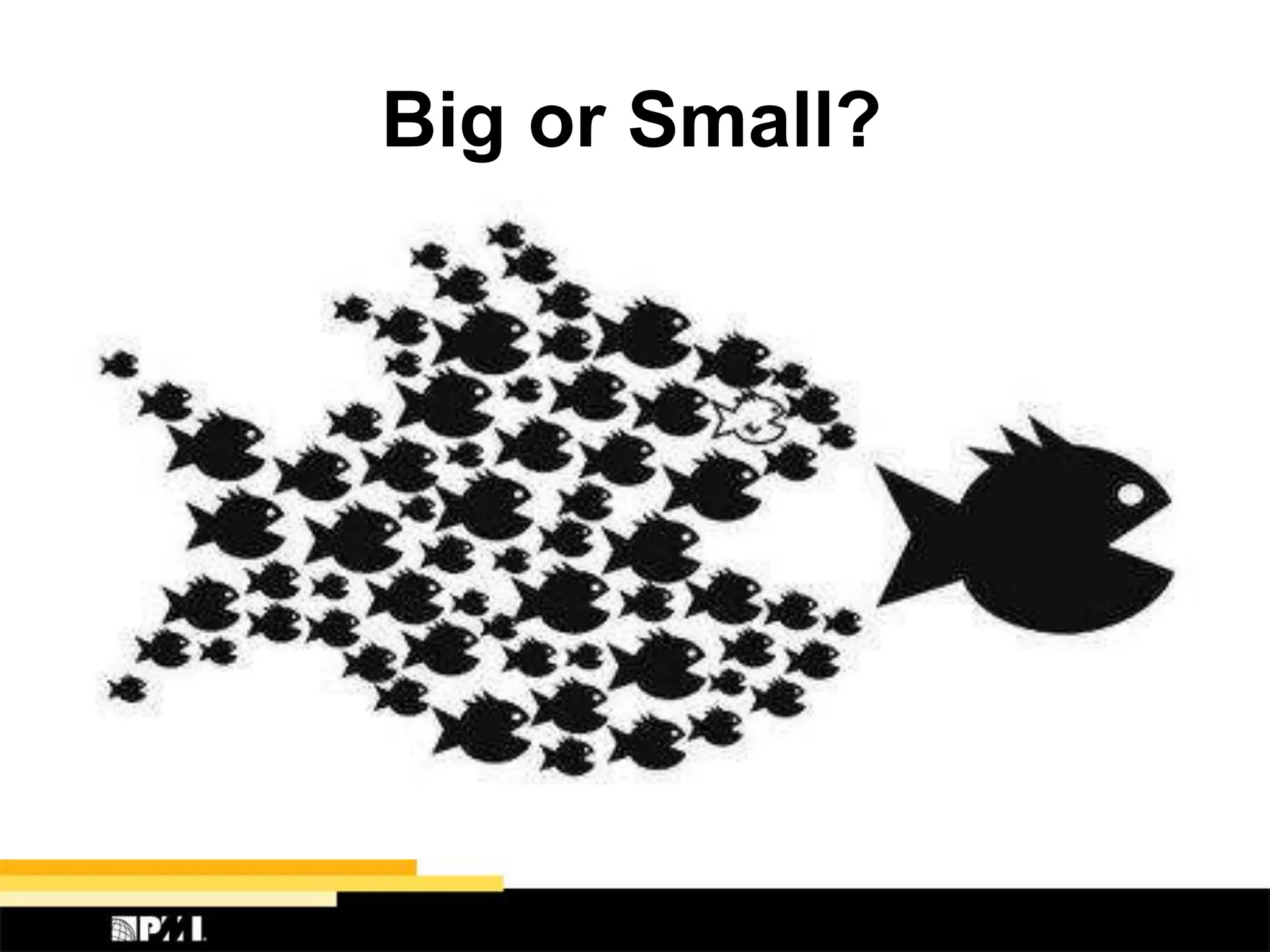 Big or Small?
 