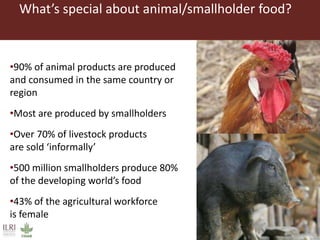 What’s special about animal/smallholder food?
•90% of animal products are produced
and consumed in the same country or
region
•Most are produced by smallholders
•Over 70% of livestock products
are sold ‘informally’
•500 million smallholders produce 80%
of the developing world’s food
•43% of the agricultural workforce
is female
 