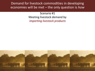 Demand for livestock commodities in developing
economies will be met – the only question is how
Scenario #1
Meeting livestock demand by
importing livestock products
 