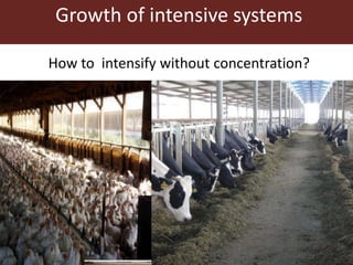 18
Growth of intensive systems
How to intensify without concentration?
 