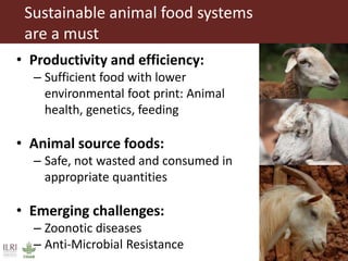 Food security and animal production—What does the future hold?