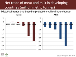 Food security and animal production—What does the future hold?