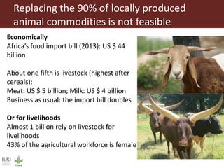 Food security and animal production—What does the future hold?