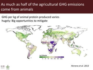 Food security and animal production—What does the future hold?