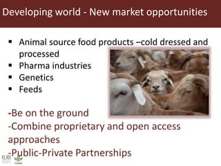 Food security and animal production—What does the future hold?