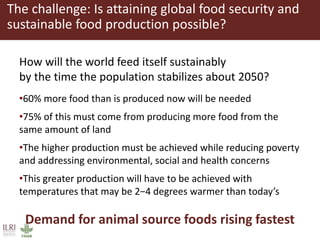Food security and animal production—What does the future hold?