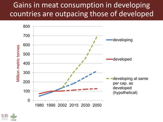 Food security and animal production—What does the future hold?