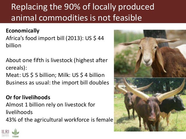 animal production synonym animal production synonym