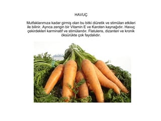 HAVUÇ
Mutfaklarımıza kadar girmiş olan bu bitki diüretik ve stimülan etkileri
ile bilinir. Ayrıca zengin bir Vitamin E ve Karoten kaynağıdır. Havuç
çekirdekleri karminatif ve stimülandır. Flatulens, dizanteri ve kronik
öksürükte çok faydalıdır.

 